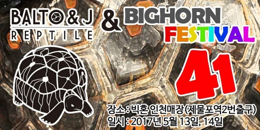 빅혼 이미지