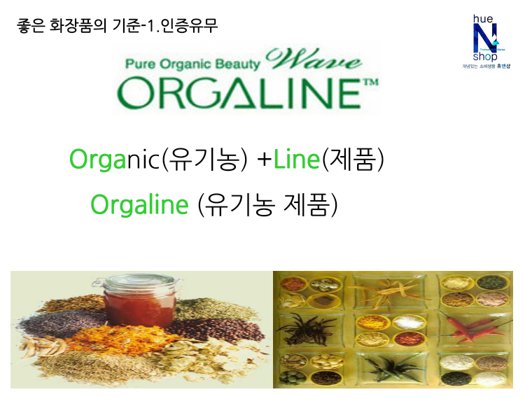 올가라인 이미지
