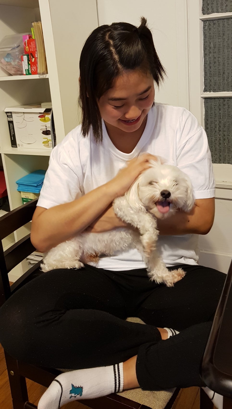코리아 홀쇼핑 이미지