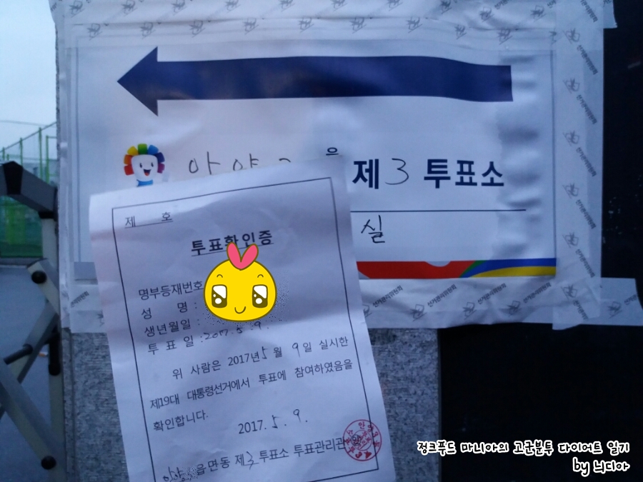 로뎀트리로뎀나무 이미지