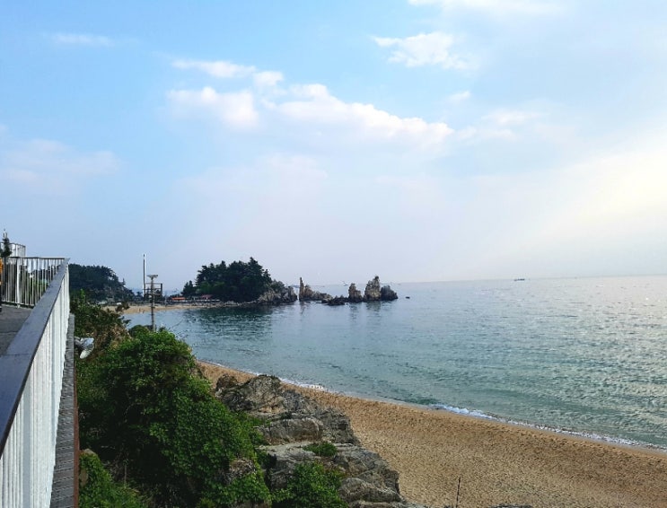 삼정한우실비식당 이미지