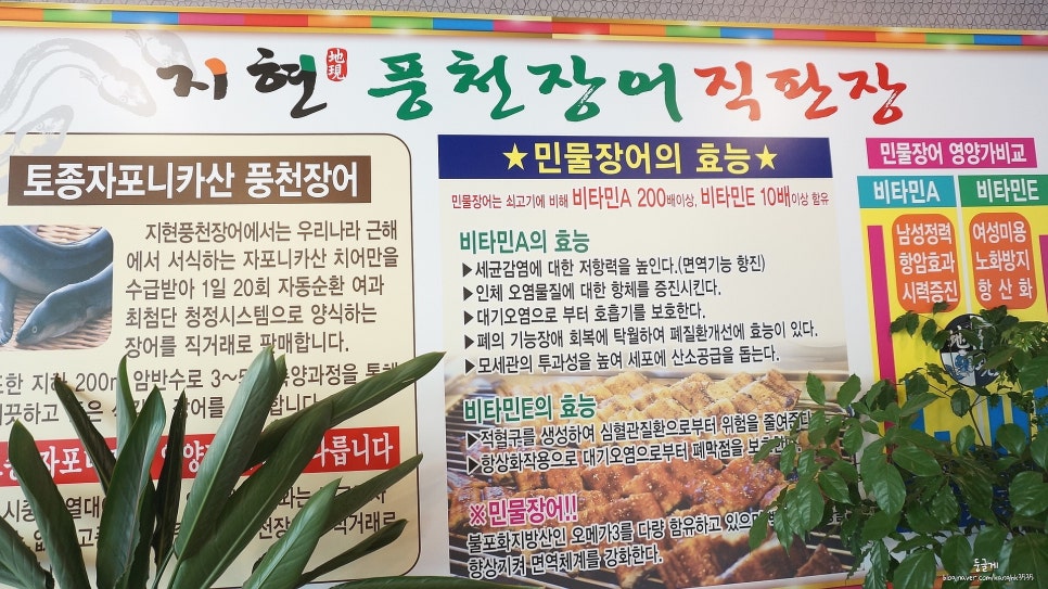 지현풍천장어직판장 이미지