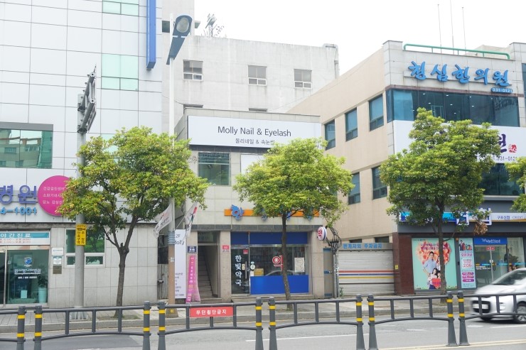 몰리네일 이미지