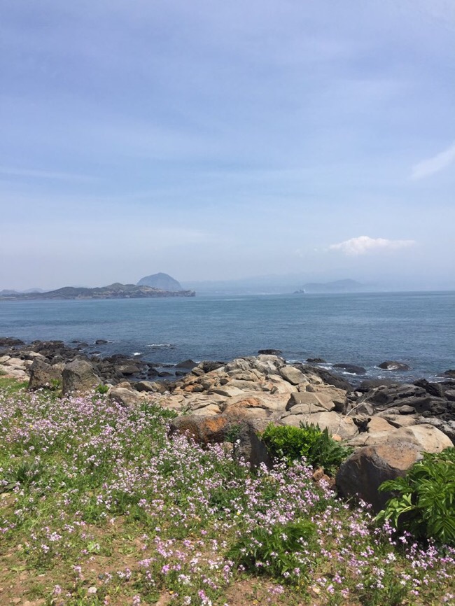 산호다방 이미지