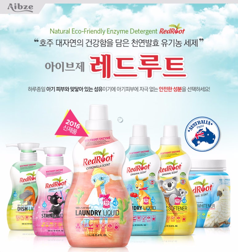 디자인루트주 이미지