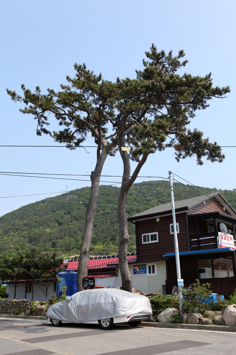 심포마을식당 이미지