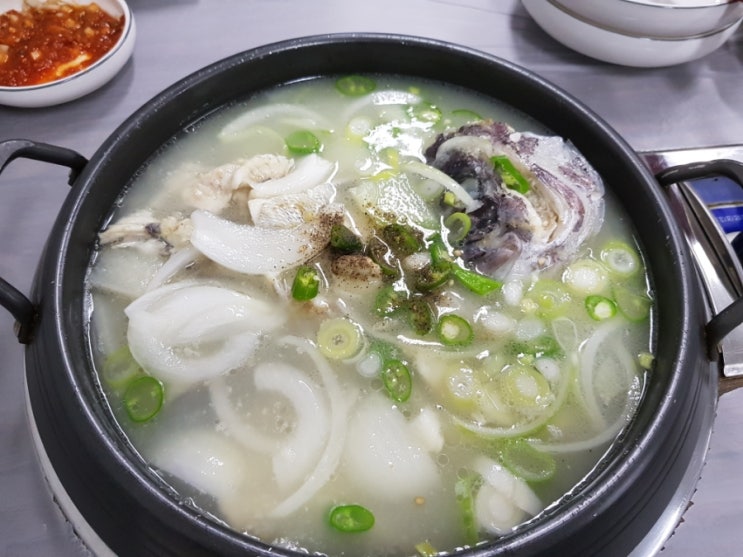 금빛선어 이미지