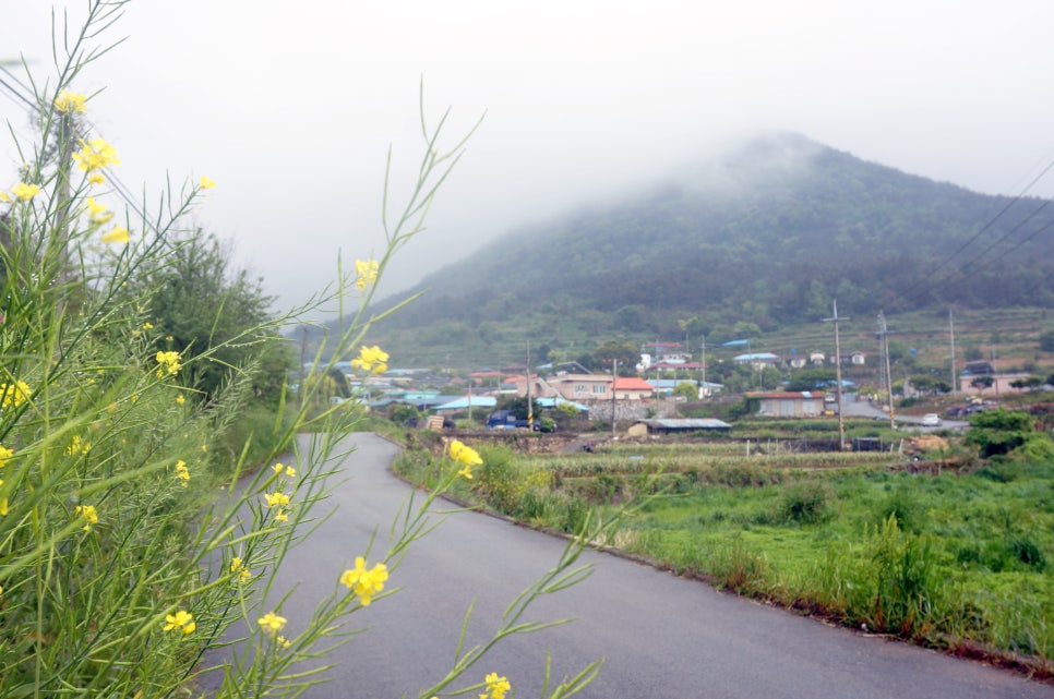 청송해변집 이미지