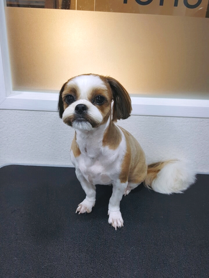 송정나무병원 이미지