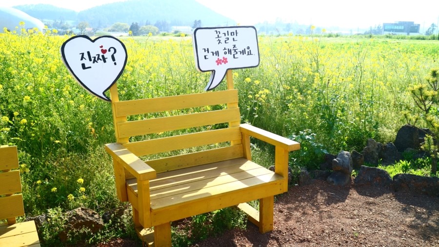 꽃썸 이미지
