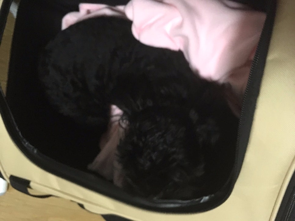 와이지몰 이미지