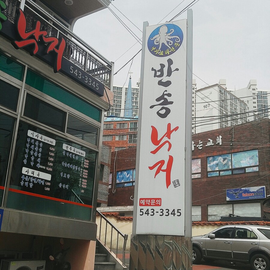 반송낙지 이미지