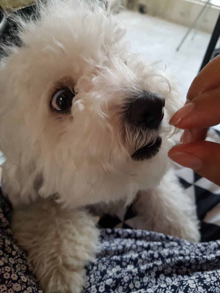 더마을펜션 이미지