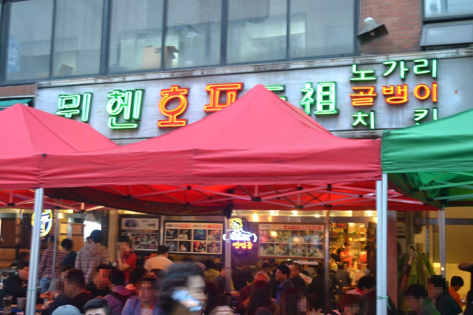 노가리호프 이미지