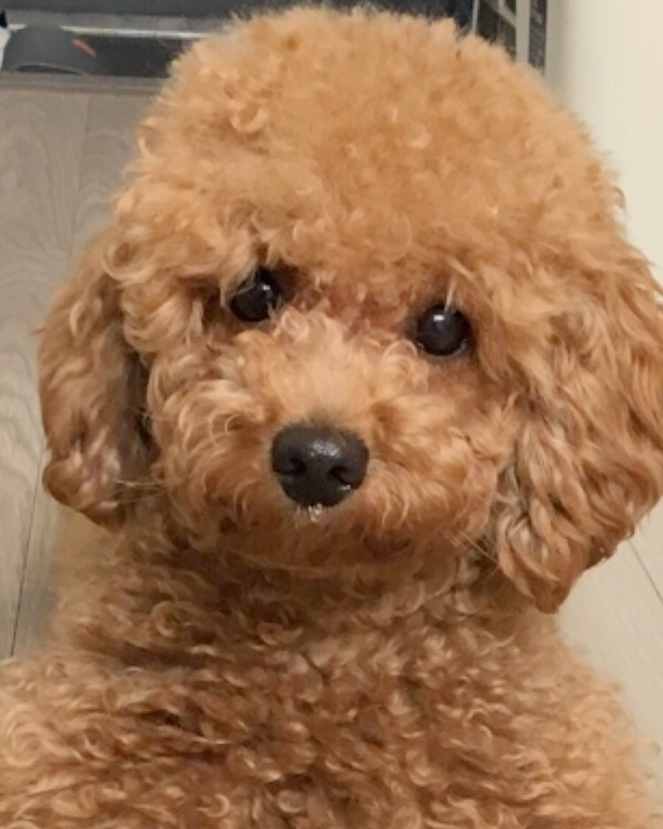 개편한까페 이미지