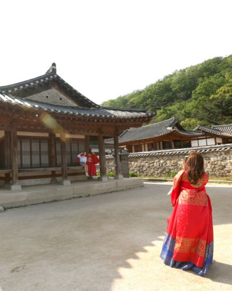 고이커피 이미지