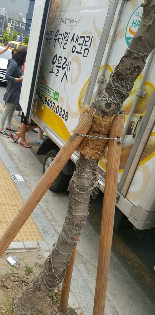 양산낙원떡집 이미지
