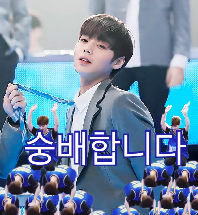 호두마루 이미지