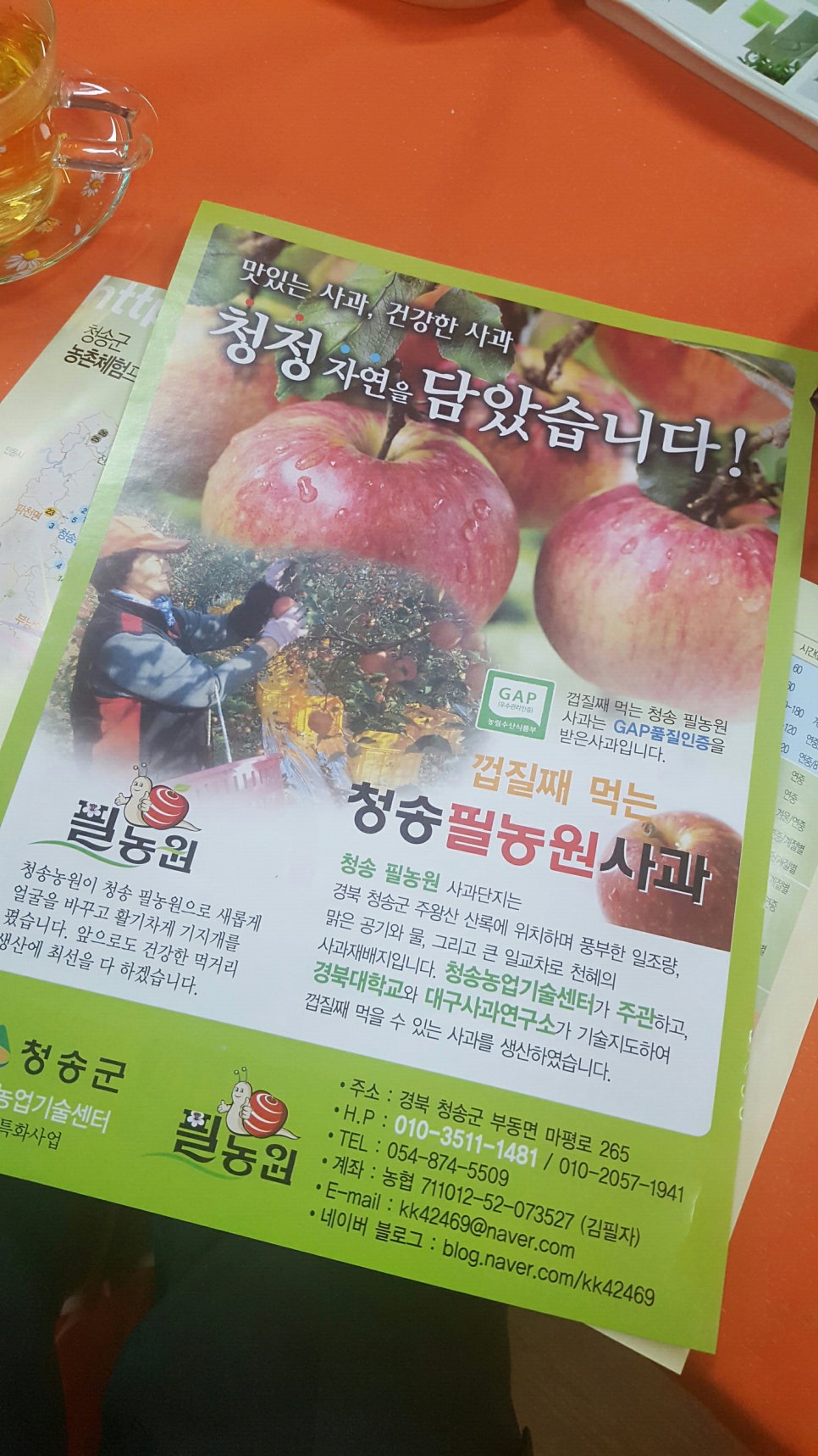 청송필농원 이미지