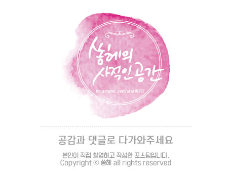동해참가자미횟집 이미지
