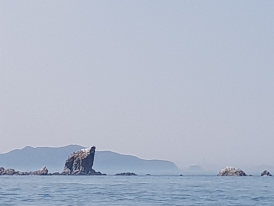 서해낚시 이미지