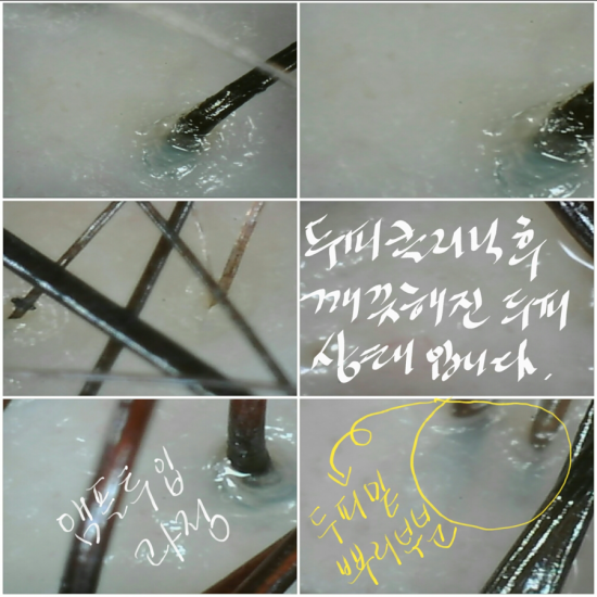 머리염색전문샵 이미지