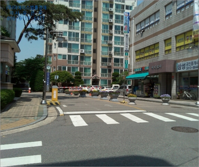 서울선사초등학교 이미지