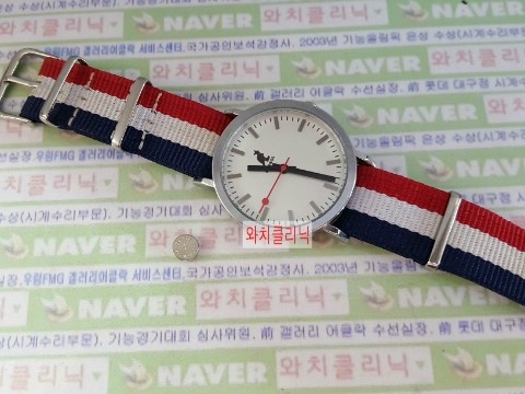 롯데대구캉골 이미지