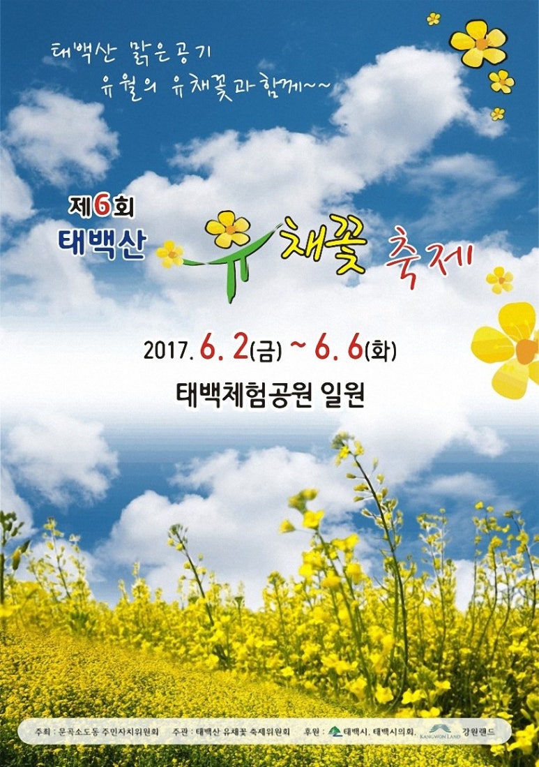 유채네일 이미지