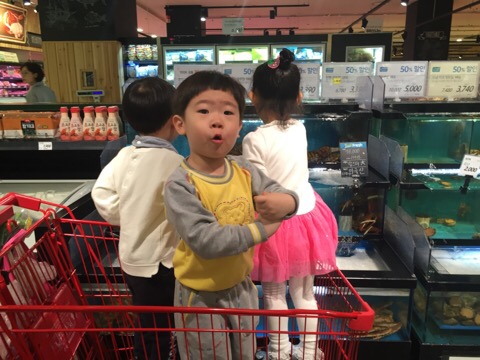 다보마트 이미지