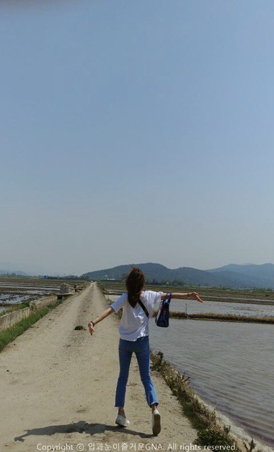 수풍정국수 이미지