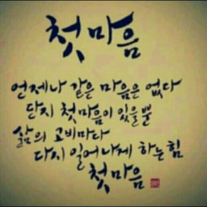 은혜교육 이미지