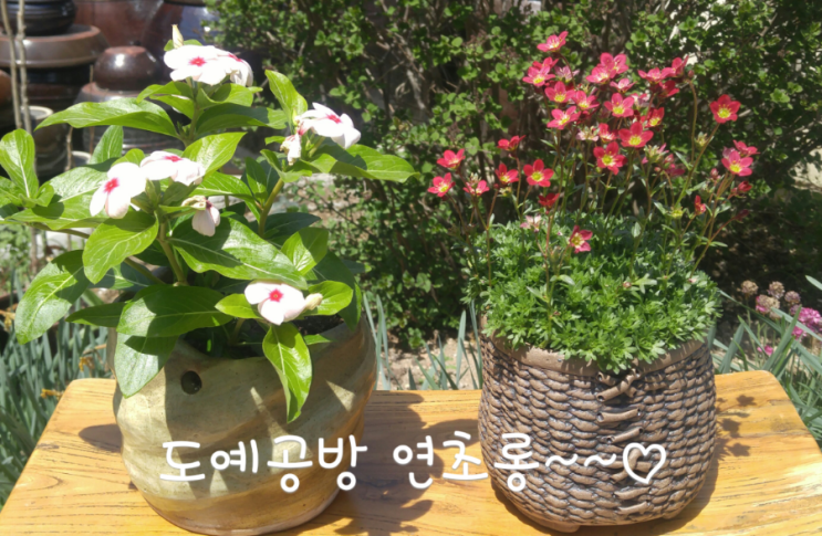 마당도예공방 이미지