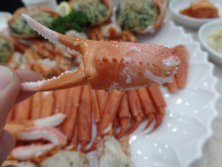 대박마차 이미지