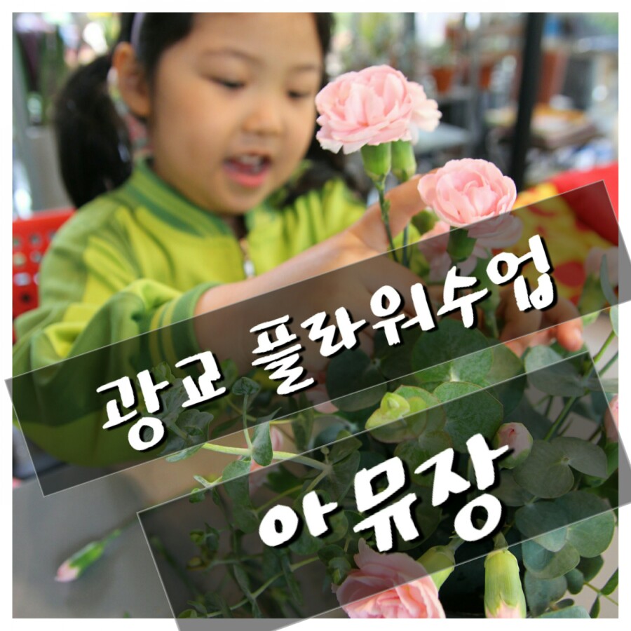 아뮤장 이미지