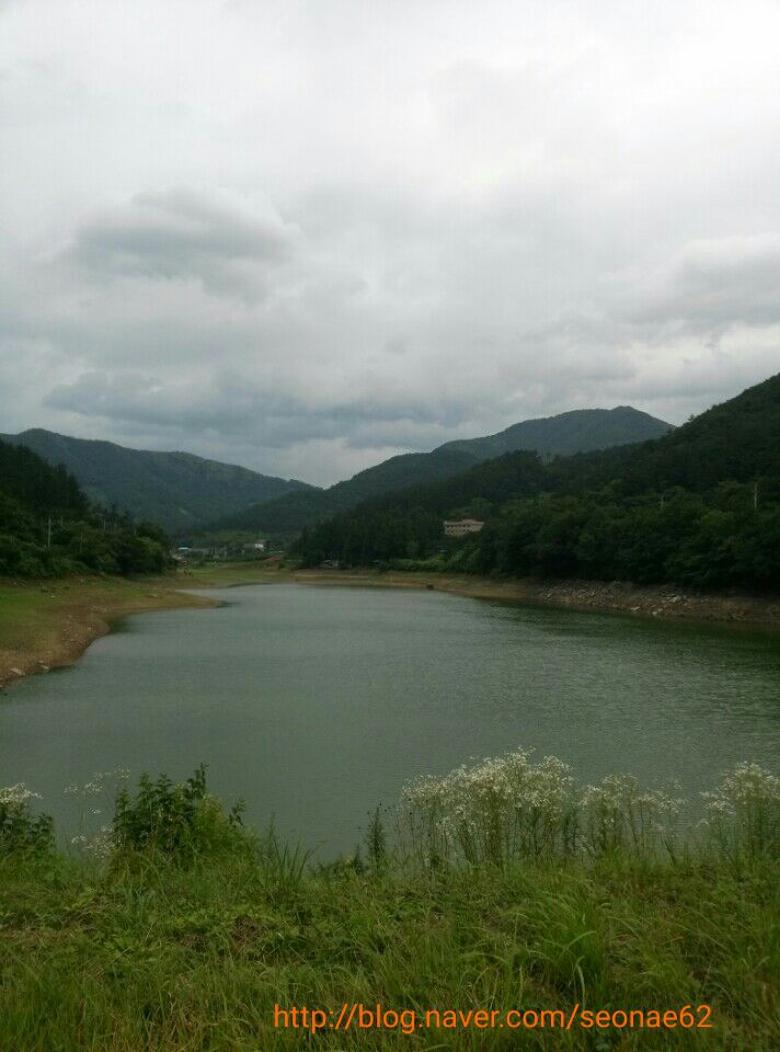 도모네일 이미지