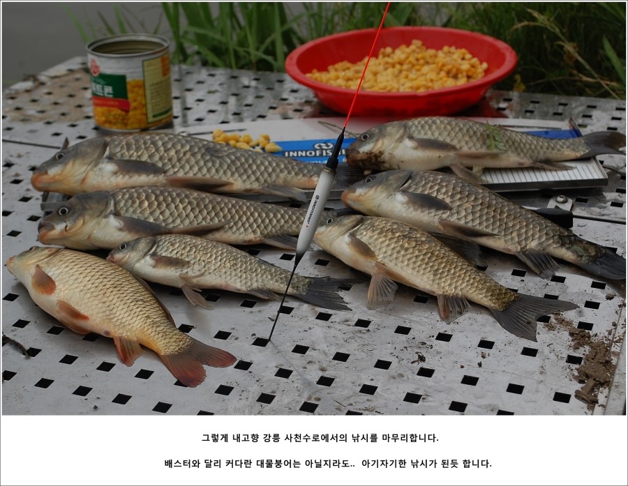 사천대물낚시 이미지
