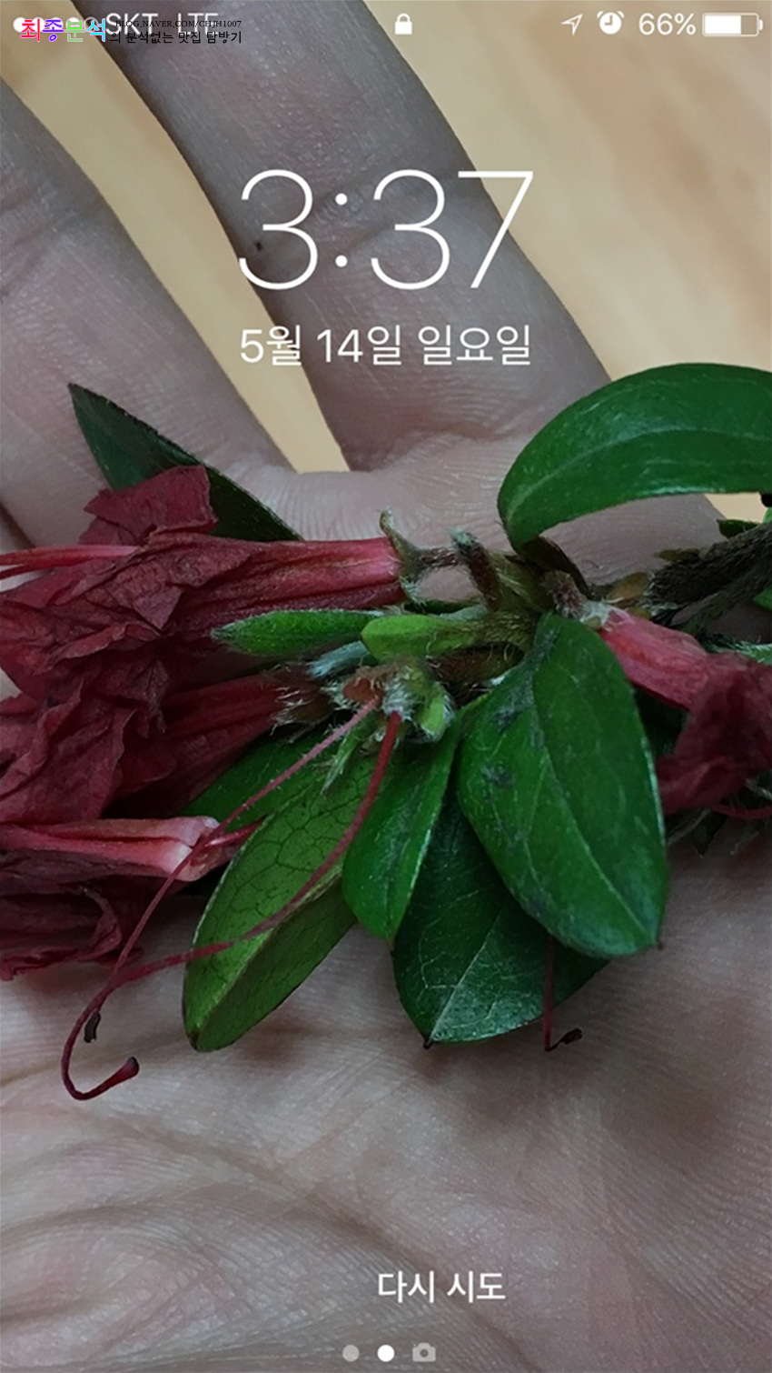 구광장칼국수 이미지