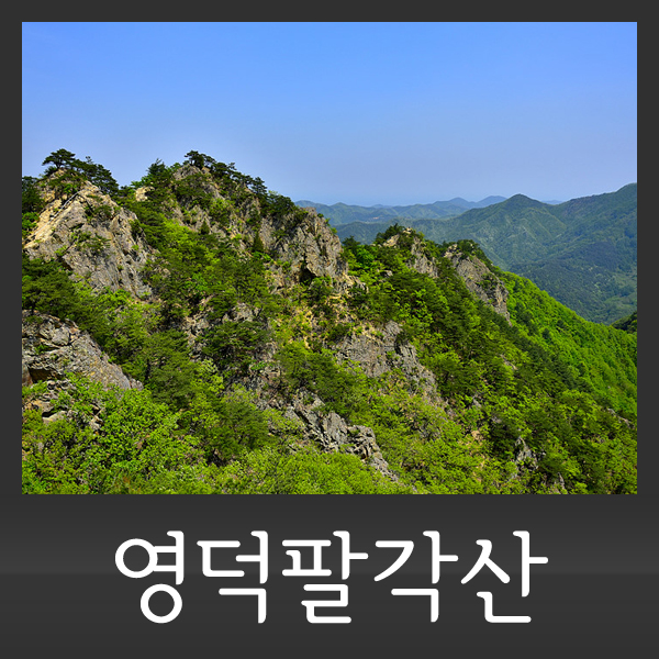 여행해봄 이미지