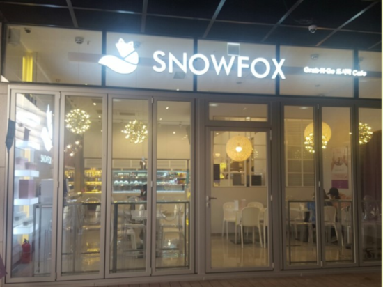 스노우폭스 이미지