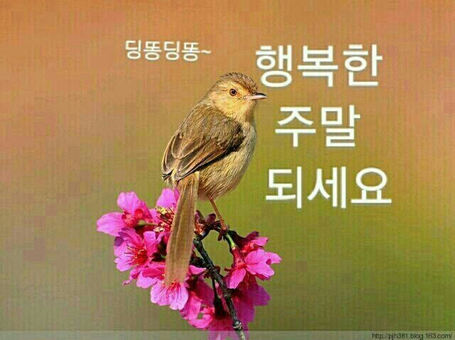 용민통상 이미지