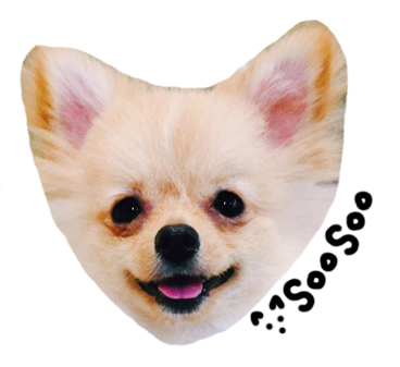 까다롭개 이미지
