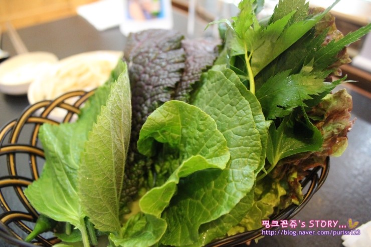 미스터뚱 이미지