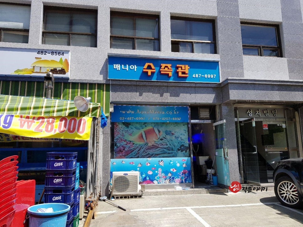 매니아수족관 이미지