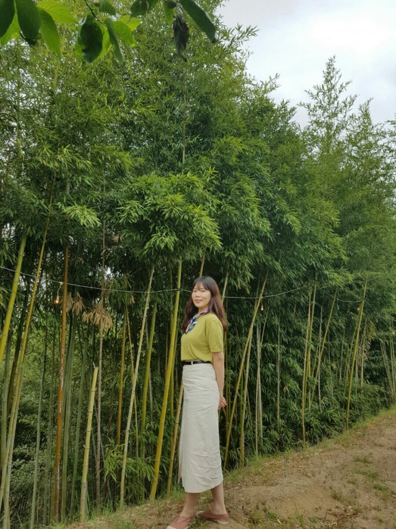 수현다방 이미지