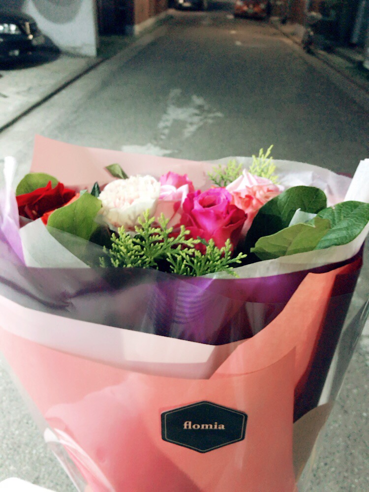 플로미아 이미지