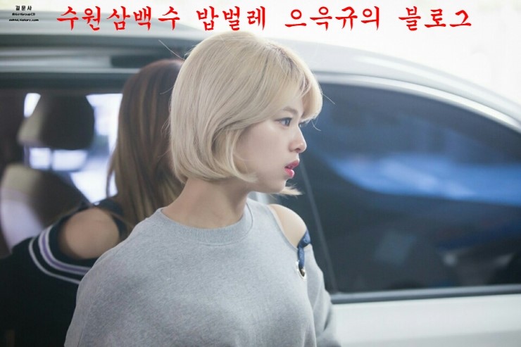 종로체육사 이미지