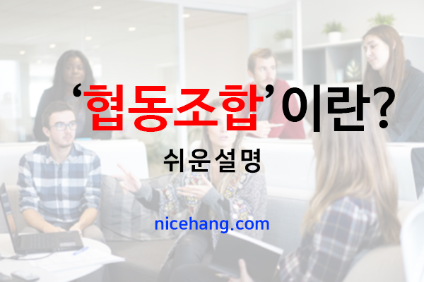 나이스행정사사무소 이미지