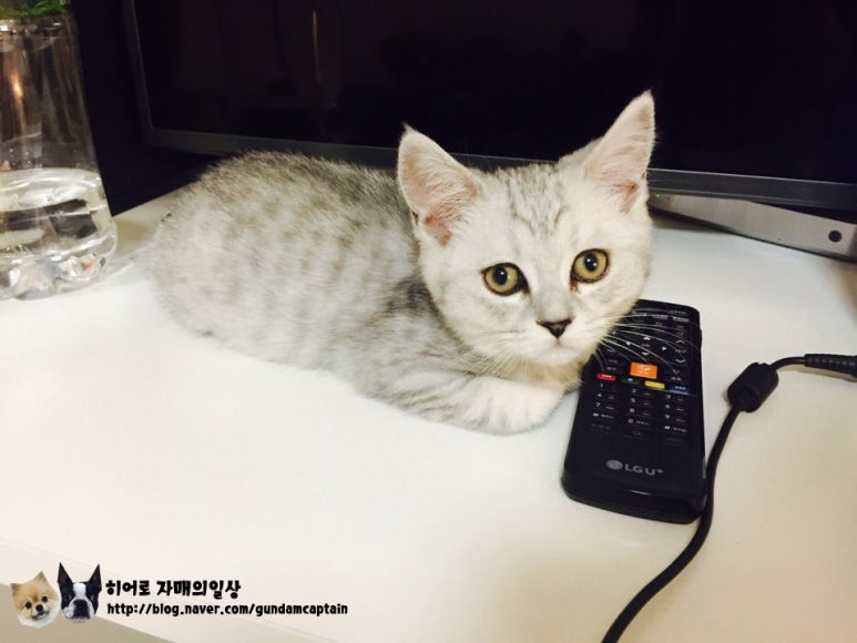 나랑놀자! 이미지