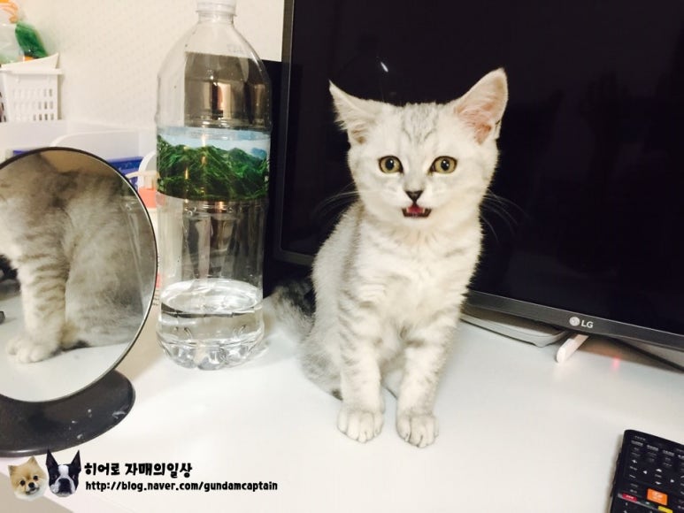 나랑놀자! 이미지